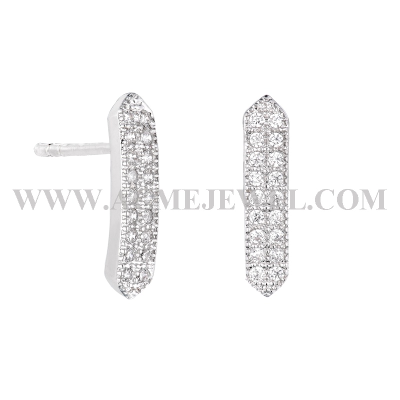 1-215013-100100-2  Earrings   